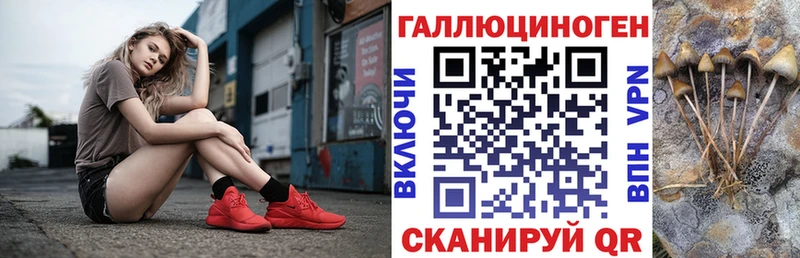 Псилоцибиновые грибы GOLDEN TEACHER Купить Малоярославец